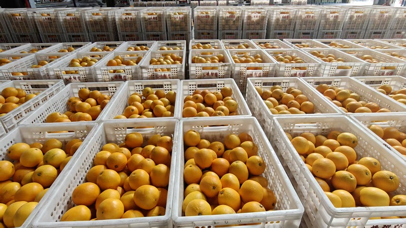 1761897080746117.jpg 微信图片_20251031143928.jpg