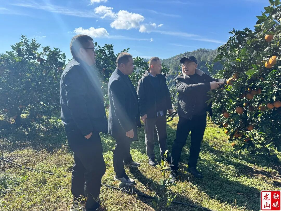 1764039979756866.png 图片9.png