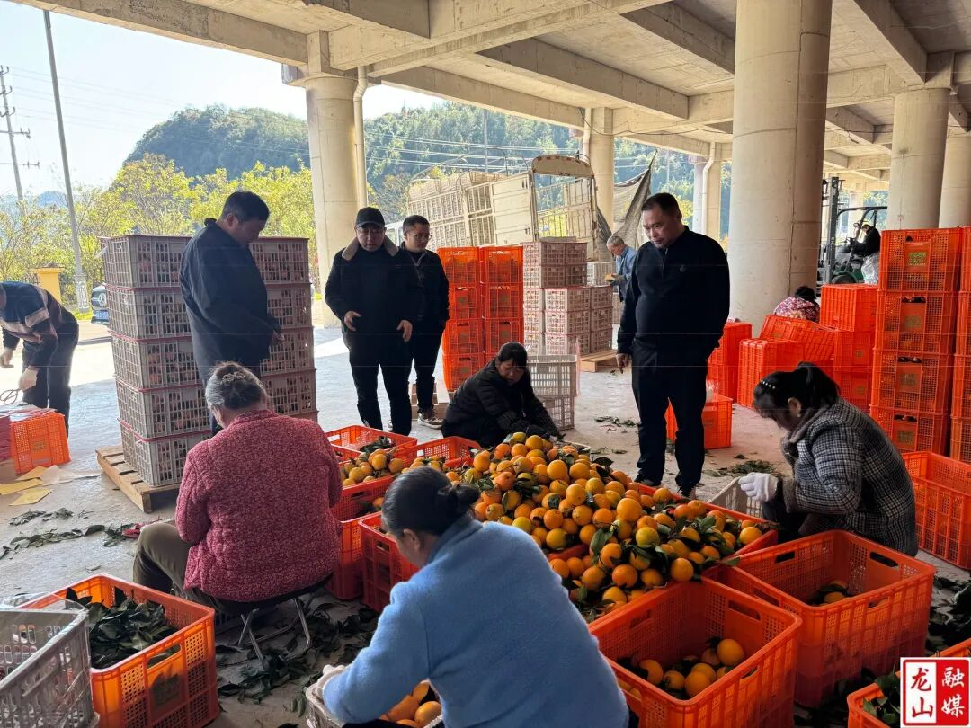 1764040011779591.png 图片10.png