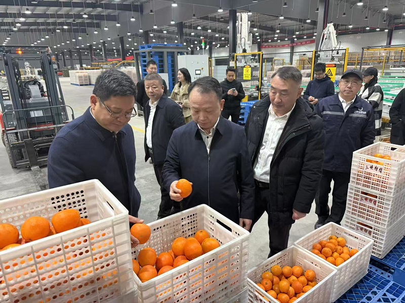 1764839354254759.jpg 微信图片_20251204145754.jpg