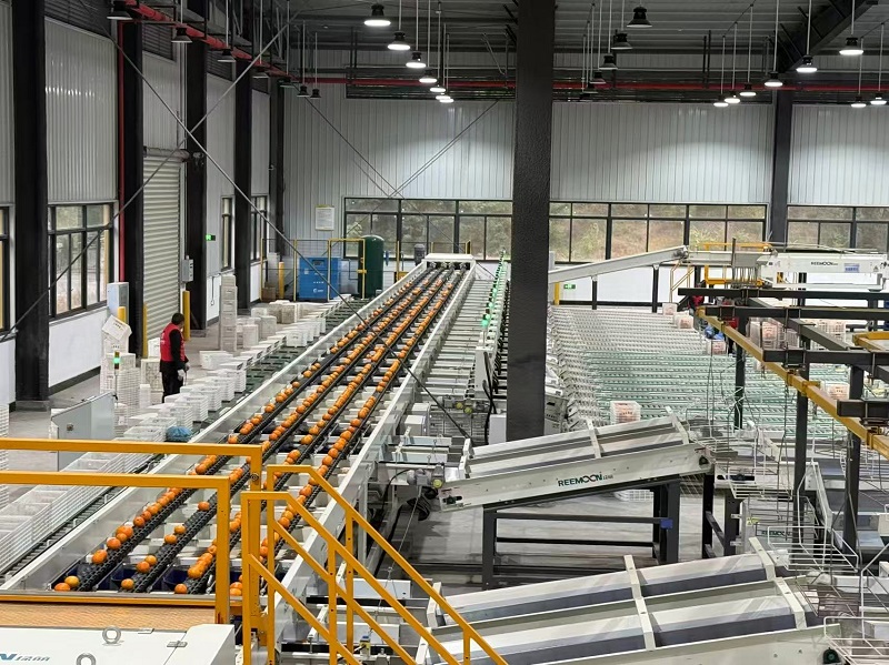 1764839364299014.jpg fbc73c09eac3065dc5ebd39c8efdd40.jpg