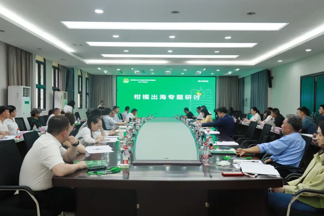 图片16.png